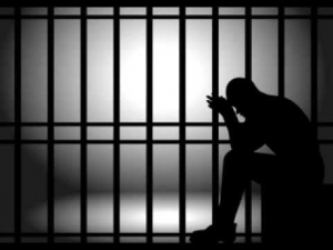 Corropoli. Imprenditore si oppone al pignoramento: scaglia cani e muletto contro carabinieri.