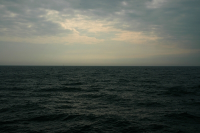 Mare