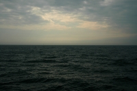 Mare