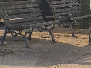 Foto di Domenico Ferri 