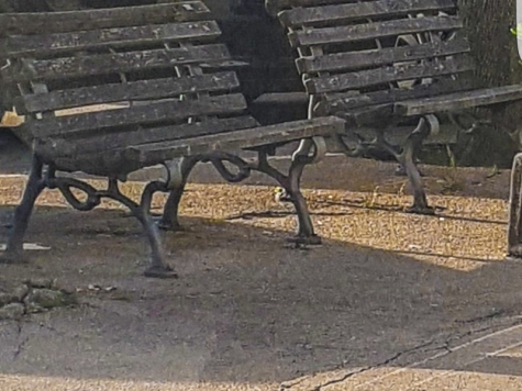 Foto di Domenico Ferri 