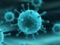 L’allarme in Europa per il "cattivo" virus invernale che porta vomito e diarrea.