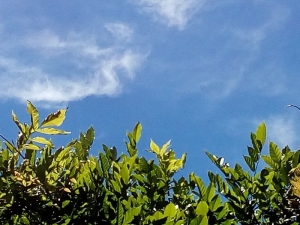 Abruzzo Clima/Cop 22. Regione vola a Marrakech. Mazzocca fermato dal Consiglio Regionale 'fantasma' 