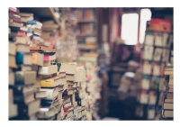 Pescara. Biblioteca "Falcone e Borsellino" resterà chiusa fino al 3 dicembre.