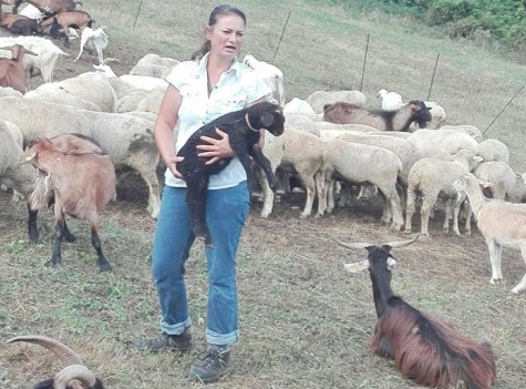 Alina la pastora