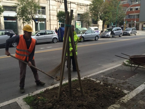 ripiantumazione in via Conte di Ruvo