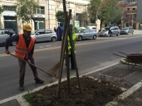 ripiantumazione in via Conte di Ruvo