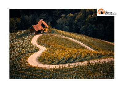 Psr Abruzzo:  finanziati con 24 milioni investimenti strutturali per 32 aziende agricole