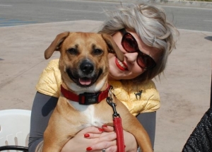 Montesilvano. Domenica Gran festa animali con Microchip gratuiti