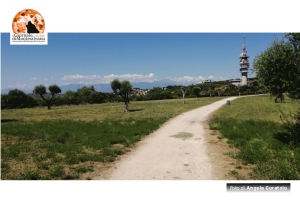 Pescara/notte di San Lorenzo, tutti a guardare le stelle su colle Telegrafo