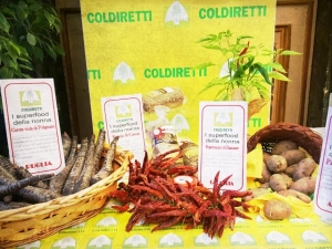 Vacanze e cibo. La salute in Abruzzo ha il colore della patata turchese