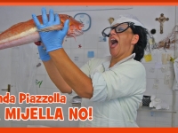 La Mijella No, il nuovo video di Banda Piazzolla, protagonista il pesce