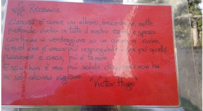 I biglietti lasciati sull'albero