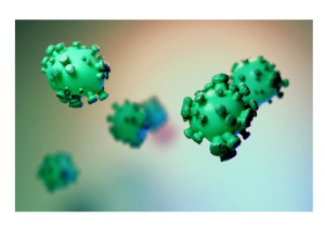 Abruzzo/Covid 19. 641 nuovi casi e 9 decessi.