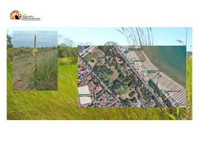 Pescara, nuovo Parco Nord: difendere scrigno di biodiversità