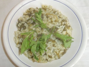 Risotto al rapacciolo accompagnato da cerasuolo