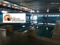 Pescara/piscine Le Naiadi. Zelli: “Dopo la ‘dalfonsite’ l’era della ‘marsilite’ "