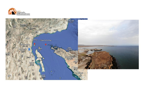 Gli Emirati Arabi Uniti e la sfida di Hormuz: la forza come ultima ratio per la stabilità globale
