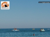 Montesilvano/spiaggia libera Le Dune in abbandono da 10 anni, cittadini puliscono