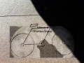 Pescara/trasporto pubblico. Ciclisti anonimi: non contrari a aumenti tariffe, vogliamo servizi migliori