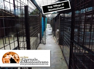 Montesilvano. Dog Village. “Nessun vantaggio a privati ha determinato l’autorizzazione regionale”