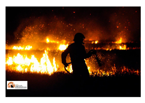 Incendi boschivi, governo risponde a interrogazione. Fina: “Azioni e risorse insufficienti”