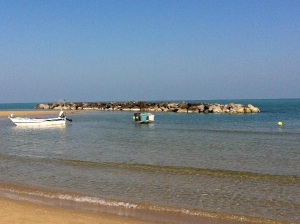 Montesilvano/Bandiera verde spiagge . “Non basta se bambini non potranno fare bagno al mare”