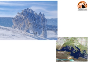 Raffiche di vento oltre 70-100 Km/h. Fino a domani, sabato.