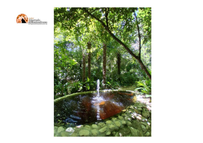 8-9 giugno. Visite guidate al Parco Paesaggistico Lauretum (PE).