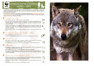 Tre lupi a Spoltore. Il WWF: “ Fatto naturale. Convivere si può”