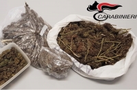 la droga sequestrata