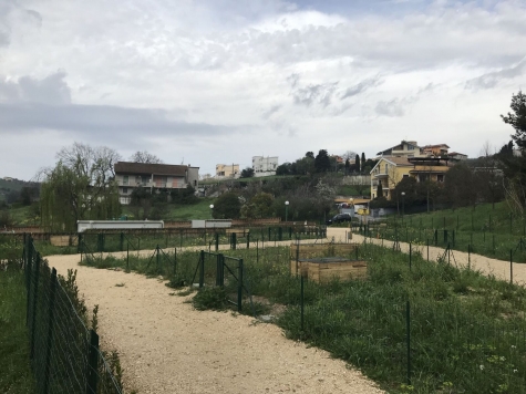 Pescara orti di via Salentina