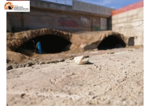 Pescara,  4,2 milioni euro per l'area archeologica dell’ex campo Rampigna