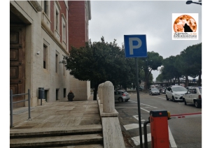 Pescara/Comitato trasporto pubblico locale: confronto con Tua per un riassetto degli orari dei bus