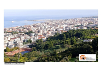 Pescara/bando del Comune per finanziare interventi sul verde, disponibili 50 mila euro