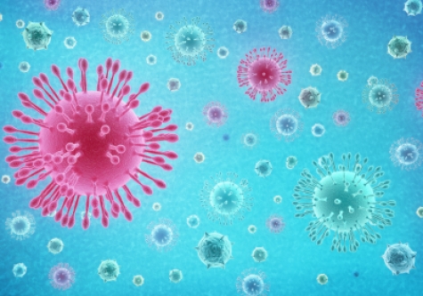 Coronavirus/Abruzzo. Altri 25 casi di contagio.
