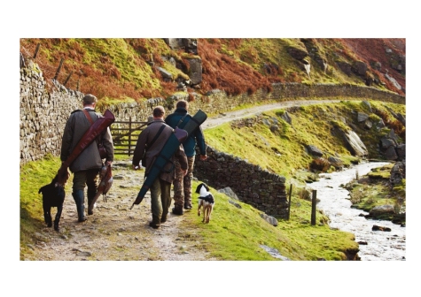 Incidente di caccia a Gessopalena. In cerca di tartufi. colpito al petto.