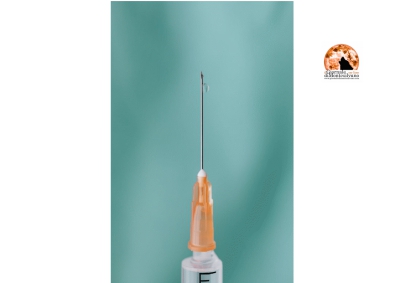 Vaccino USA efficace al 90% fa volare borse.