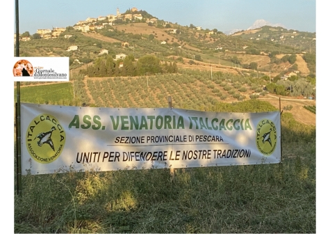 Abruzzo. L’Italcaccia contro il nuovo disciplinare per la caccia al cinghiale nelle ore notturne