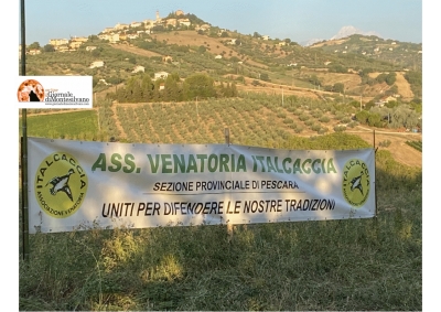 Abruzzo. L’Italcaccia contro il nuovo disciplinare per la caccia al cinghiale nelle ore notturne