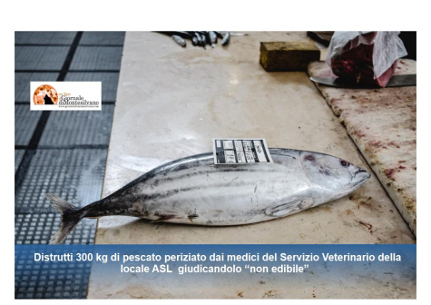 Pescara, 13 tonni giudicati non commestibili sequestrati e distrutti