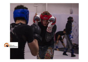 La situazione delle arti marziali miste MMA in Italia