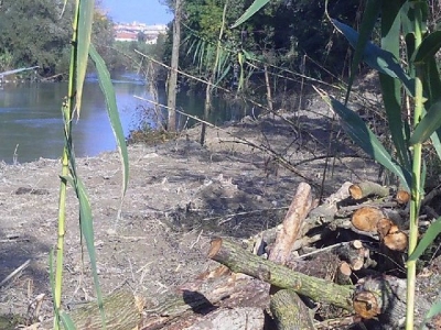 sponde fiume