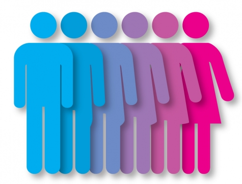 Abruzzo/Gender. M5stelle vota contro “Teoria gender di Gatti”. Unica forza.