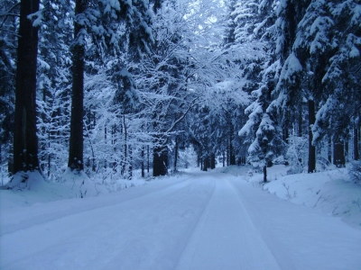 Abruzzo. “Piano neve: mezzo milione in favore delle province”.