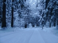 Abruzzo. “Piano neve: mezzo milione in favore delle province”.