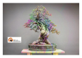 1 Maggio, la 48ª edizione della Mostra del Fiore-Florviva
