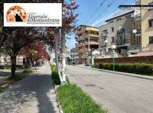 Pescara. Parcheggi estivi sulla Strada Parco, 1125 accessi a Ferragosto