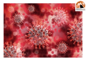 Coronavirus in Abruzzo. 310 nuovi casi e 459 guariti