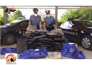 Montesilvano/ferragosto. Sequestrati 53 kg di marijuana.